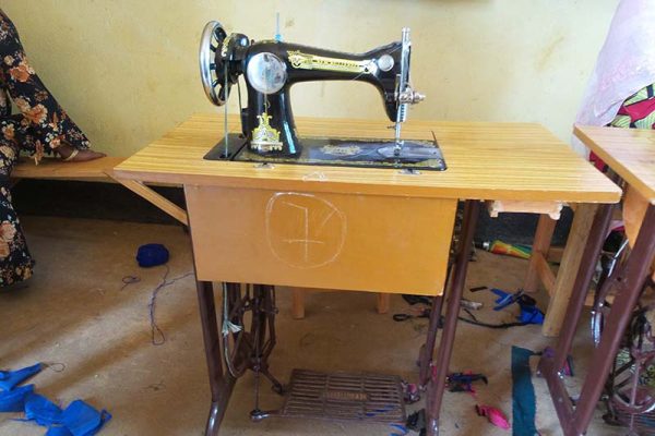 Sewing Machine and Training - $675 - Image 2