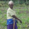 Help them to Farm - $35 - Image 4