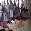 Udhiya / Qurbani - Image 4