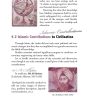 ISLAM: A Profound Insight - Image 4