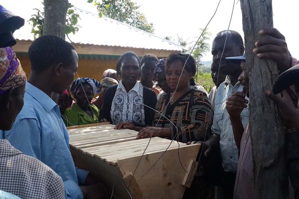 Beekeeping supply and Training - $600 - Image 2