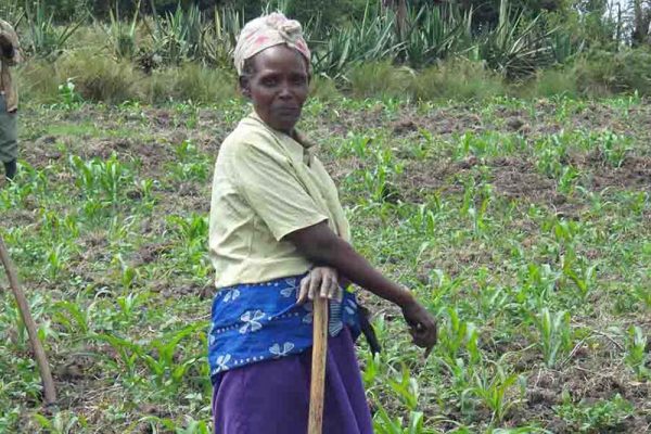 Help them to Farm - $35 - Image 4