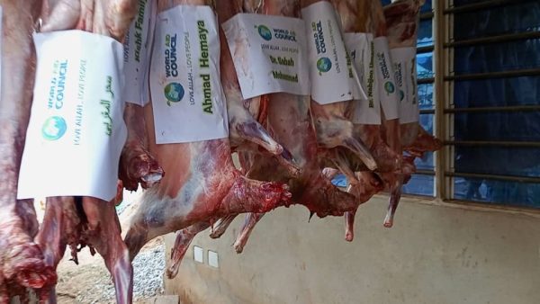 Udhiya / Qurbani - Image 8